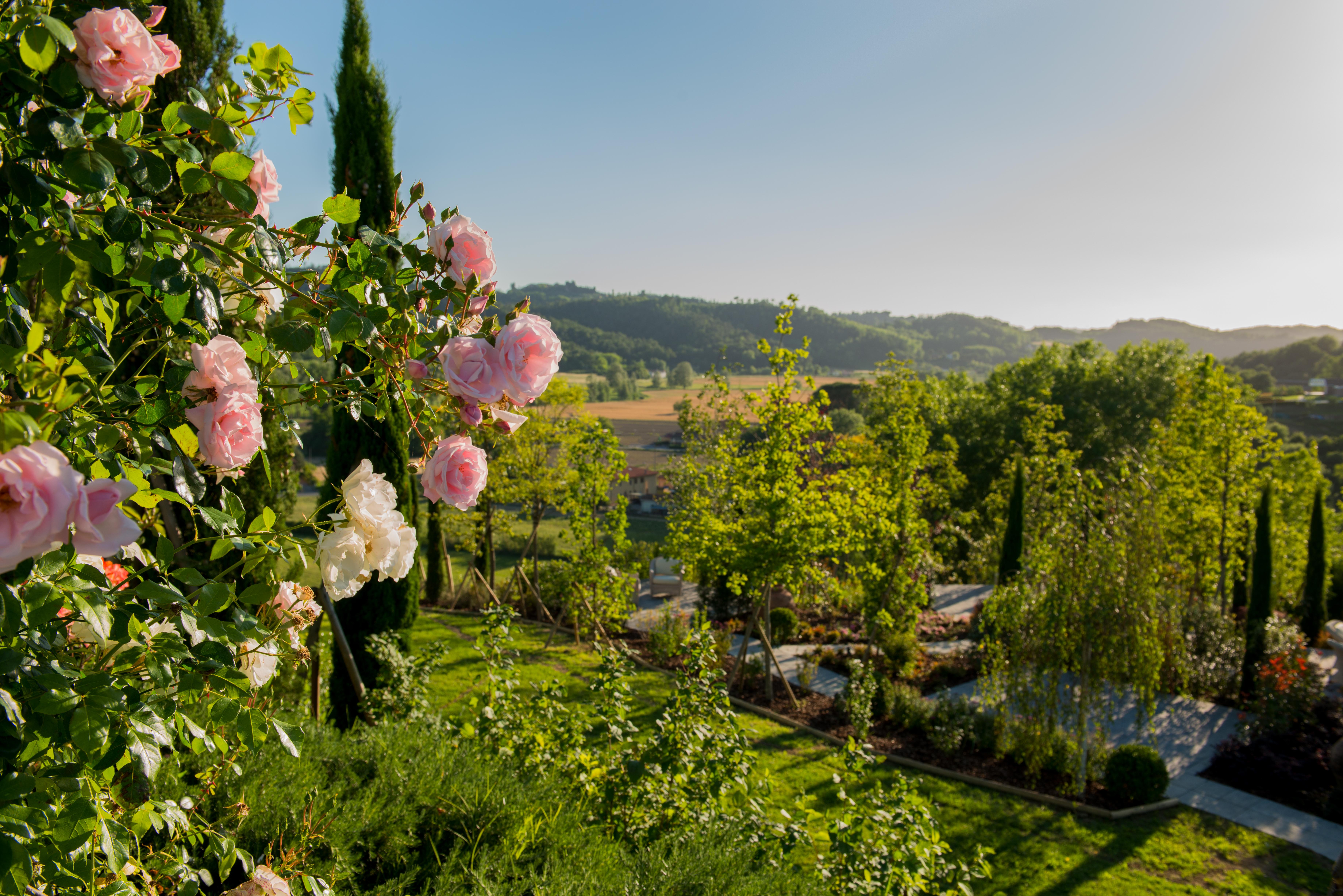 Hotel Relais Sassa Al Sole à San Miniato Extérieur photo